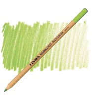 Lyra Rembrandt Polycolor Profesyonel Kuru Boya Kalemi Apple Green 70