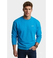 %100 Pamuk Relaxed Kalıp bisiklet yaka Erkek Mavi Sweatshirt