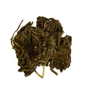 Doğal Kediotu Kökü Saf Kedi Otu Kök Bitkisi 100GR Valerian Root