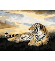 Kaplan Sayılarla Boyama Seti 40x50 cm (Tuvale Gerili)