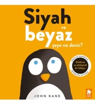 Siyah ve Beyaz Şeye Ne Denir?