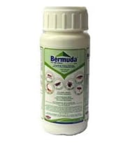 Bermuda EW Kokulu Haşere Öldürücü  250 ml