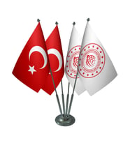 Masa Üstü Ulaştırma Bakanlığı Bayrağı Türk Bayrağı Dörtlü Krom Direk Masa Bayrak Seti