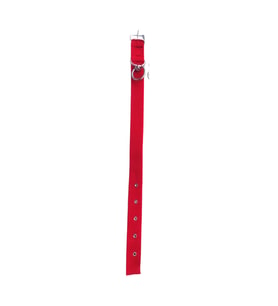 Kırmızı Dayanıklı Dokuma Köpek Tasması 50 cm