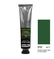 Bigpoint Yağlı Boya 45 ml Hooker's Green Light 510 x 6 Adet