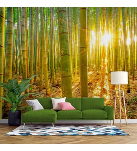 Bambu Ormanı Temalı Duvar Kağıdı