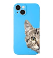 Apple iPhone 14  Lansman Kılıf Catface  Tasarımlı Altı Kapalı İçi Kadife Kaplı  Kapak (Şeffaf)