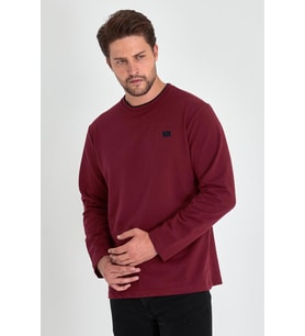 Erkek Bordo Çift Bisiklet Yaka Baskı Detaylı Standart Rahat Kesim Sweatshirt