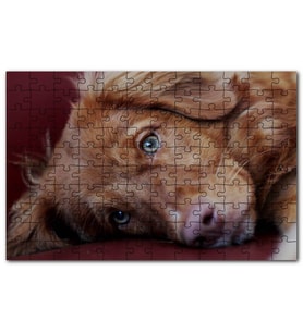 Cakapuzzle Sevimli Kahverengi Köpek Yakın Çekim Puzzle Yapboz MDF (Ahşap) (120 Parça)