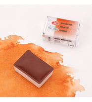 St. Petersburg White Nights Tam Tablet Sulu Boya 309 Red Ochre 