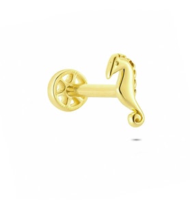Glorria Altın Deniz Atı Tragus Piercing