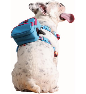 Gimme Five Mavi Çantalı Göğüs Tasması, Köpek Sırt Çantası – Göğüs Tasması İşlevli, Geri Dönüştürülmüş Malzeme, Ayarlanabilir, Çok Cepli, 5 Renk Seçenekli, Small Recycled