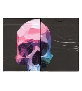 Bicycle Memento Mori NXSOyun Kağıdı Limited Edition Koleksiyonluk iskambil Kartları Destesi (Karışık)