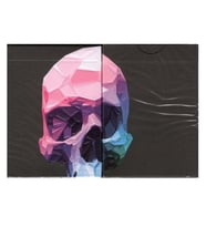 Bicycle Memento Mori NXSOyun Kağıdı Limited Edition Koleksiyonluk iskambil Kartları Destesi (Karışık)