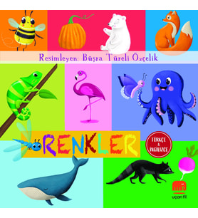 Renkler (Board Book)