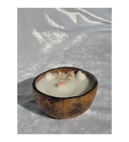 Jeane Candles Organik Gerçek Hindistan Cevizinden Okyanus Kokulu Mum Deniz Kabuğu Hediyelik Beyaz (Çok Renkli)
