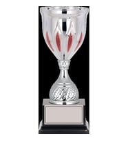 ODAK KUPA - Elit Kupalar - ELT-028 B - 36 cm