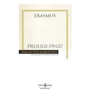 Deliliğe Övgü