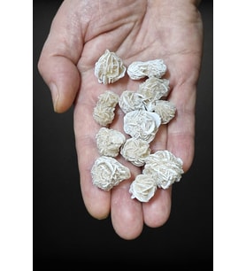 50 Gram Çöl Gülü Sabır Taşı Peru 219-3
