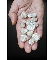 50 Gram Çöl Gülü Sabır Taşı Peru 219-3