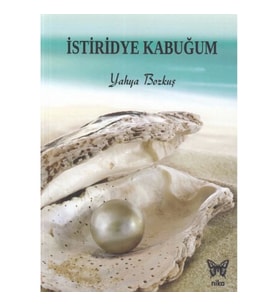 İstiridye Kabuğum