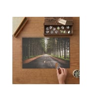 Ormannın İçindeki Asfalt Yol - Çam Ağaçları Manzarası Tasarımı 240 parça Ahşap Puzzle Ahşap Kutuda MP01053