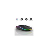 Raynox RX-M208 Kablosuz Bluetooth ve USB Mouse - SİYAH