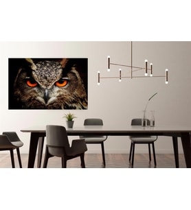 Baykuş Uv Baskılı Mdf Tablo