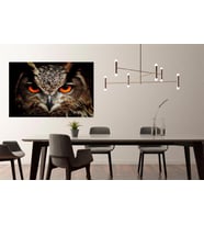 Baykuş Uv Baskılı Mdf Tablo