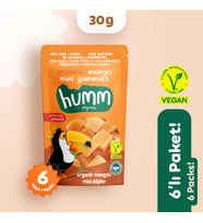Organik Glutensiz Vegan Mangolu Mini Küpler Atıştırmalık Paketi - 6 adet