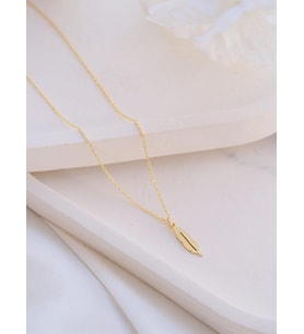 Kişiye Özel Şık Tüy Model Kolye 925K Gümüş (Gold)