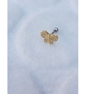 Tragus Küpe Piercing Çelik