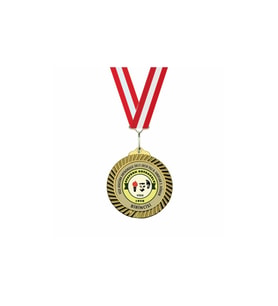 MADALYA - 1.LİK MADALYASI ALTIN GÖRÜNÜMLÜ 1.CİLİK MADALYASI