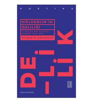 Hölderlin'in Deliliği