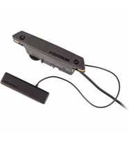 Fishman Powertap PRO-REP-104 Earth  Soundhole Manyetik