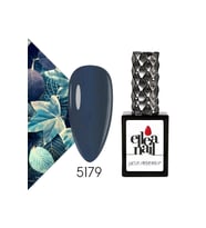 Profesyonel Kalıcı Oje 15 ml 5179