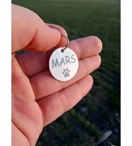 Kişiye Özel Metal Isimlikli Kedi Tasması, Metal Isimli Künye, Metal Isimlik, Hafif, Paslanmaz (Gri)