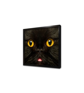 Kedi Çerçeveli Mdf Tablo