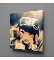 YAVRU KÖPEK KANVAS TABLO 200x200cm