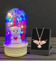 Renkli Led Işıklı Biblolu Fanus ve Zümrüdü Anka Kuşu Kolye Premium Hediye Seti (Model 1)