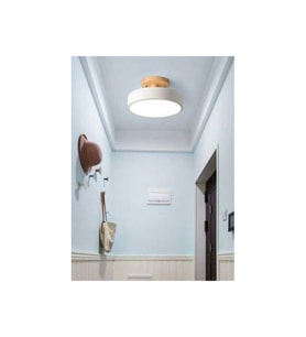 Modern Led Avize