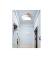 Modern Led Avize