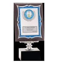 ODAK KUPA - Ahşap Plaketler - PL-034 B - 15x20 cm