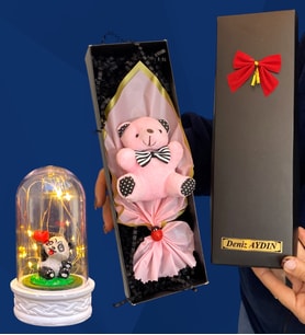 Kişiye Özel İsimli Kutuda Pembe Peluş Ayıcık ve Led Işıklı Biblolu Fanus (Model 8)