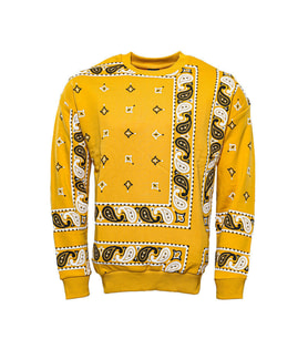 Hardal Baskılı Desenli Bisiklet Yaka Sweatshirt - Wessi (Sarı)