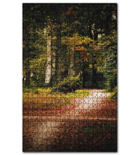 Cakapuzzle Sonbahar Yaprakları Patika ve Sık Orman Puzzle Yapboz MDF (Ahşap) (120 Parça)