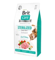Hypo-Allergenic Üriner Sistem Sagligi için Tahilsiz Kisirlastirilmis Kedi Mamasi