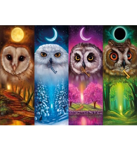 Nova Puzzle Dört Mevsim Baykuşlar - 1000 Parça Puzzle