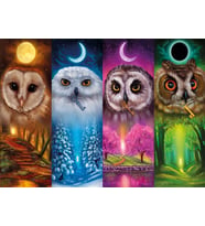 Nova Puzzle Dört Mevsim Baykuşlar - 1000 Parça Puzzle