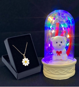 Renkli Led Işıklı Tasarım Fanus ve Tasarım Kolye Hediye Seti (Model 1)